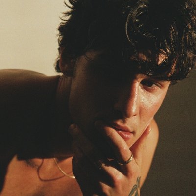 Shawn Mendes profile image