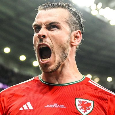 Gareth Bale profile image