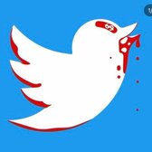 Bruno Gagliasso 🌊