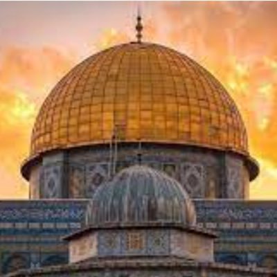 Moez Masoud profile image