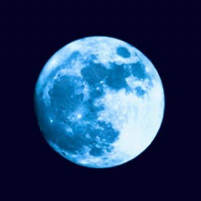 Dalnim profile image