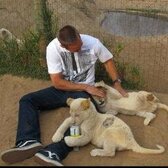 Paul Walker