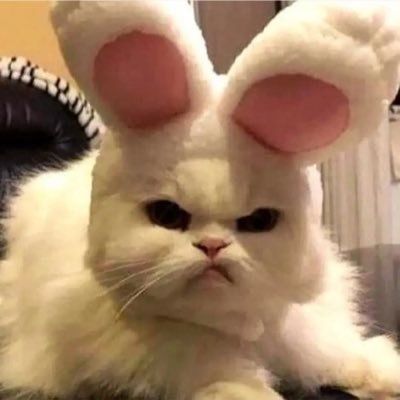 Anya Geraldine profile image