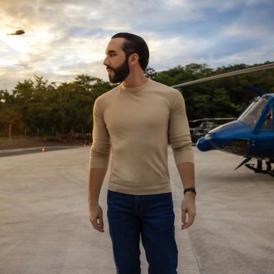 Nayib Bukele profile image