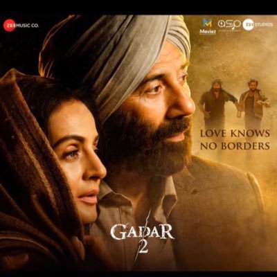 ameesha patel profile image