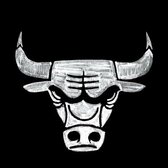 Chicago Bulls