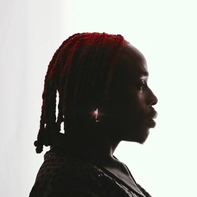 Fireboy DML profile image