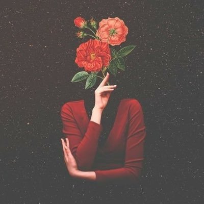 Reflexiones profile image