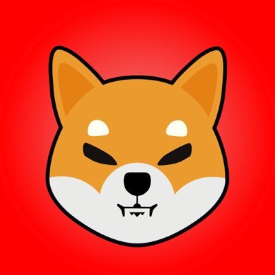 Shib profile image