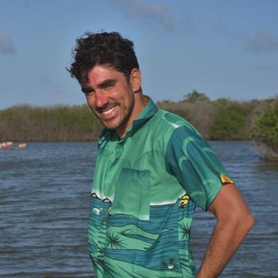 Marcelo Adnet profile image