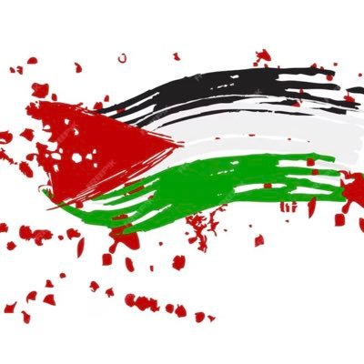 Hamza Ali Abbasi profile image