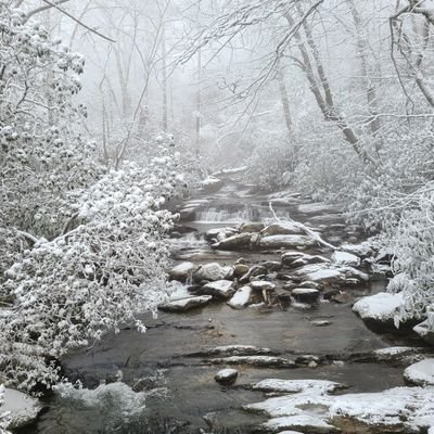 Nate Silver profile image