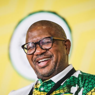 ANC SECRETARY GENERAL | fikile Mbalula profile image