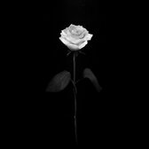 三代目 J SOUL BROTHERS