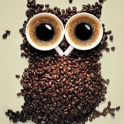 13. Burç profile image