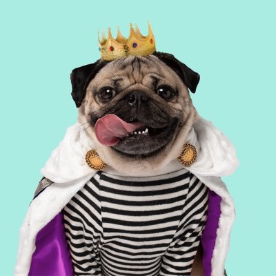 Doug The Pug profile image