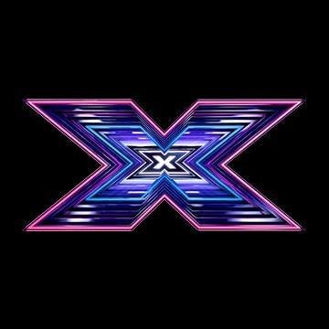 THE X FACTOR (USA) profile image