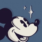 Disney Parks
