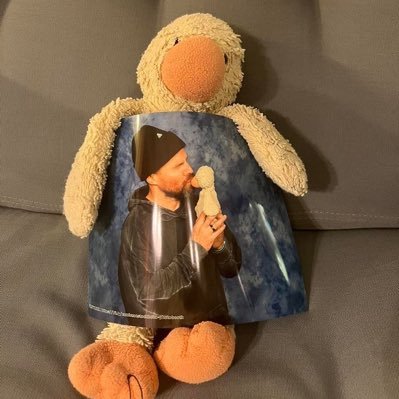 Stephen Amell profile image