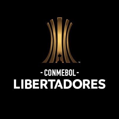 CONMEBOL Libertadores profile image