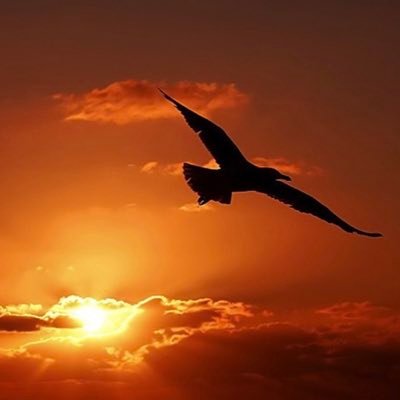 Buitengebieden profile image