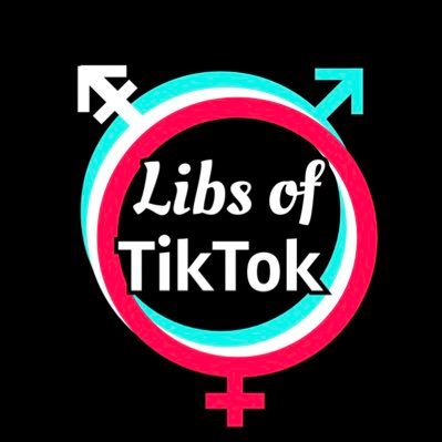 Libs of TikTok profile image