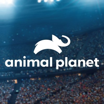 Animal Planet