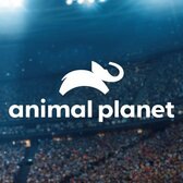 Animal Planet