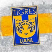 Club Tigres 🐯