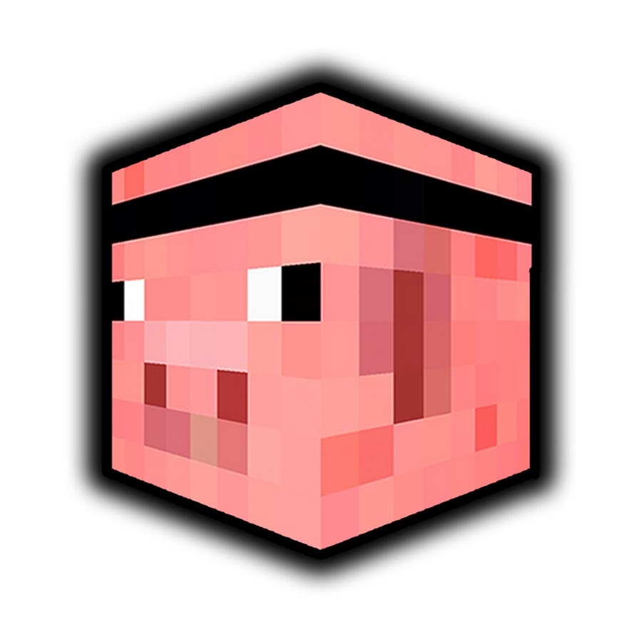 PigPong profile image
