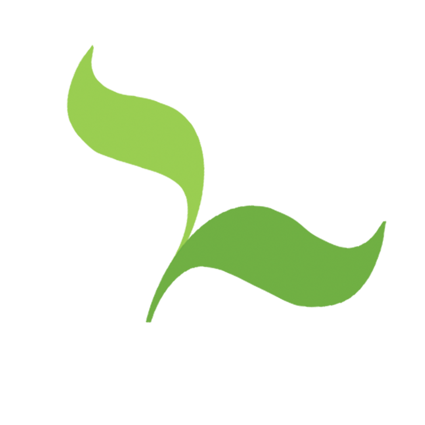 seedcamp profile image