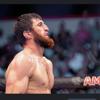 Magomed Ankalaev profile image