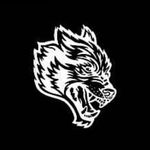 DARC SPORT profile image