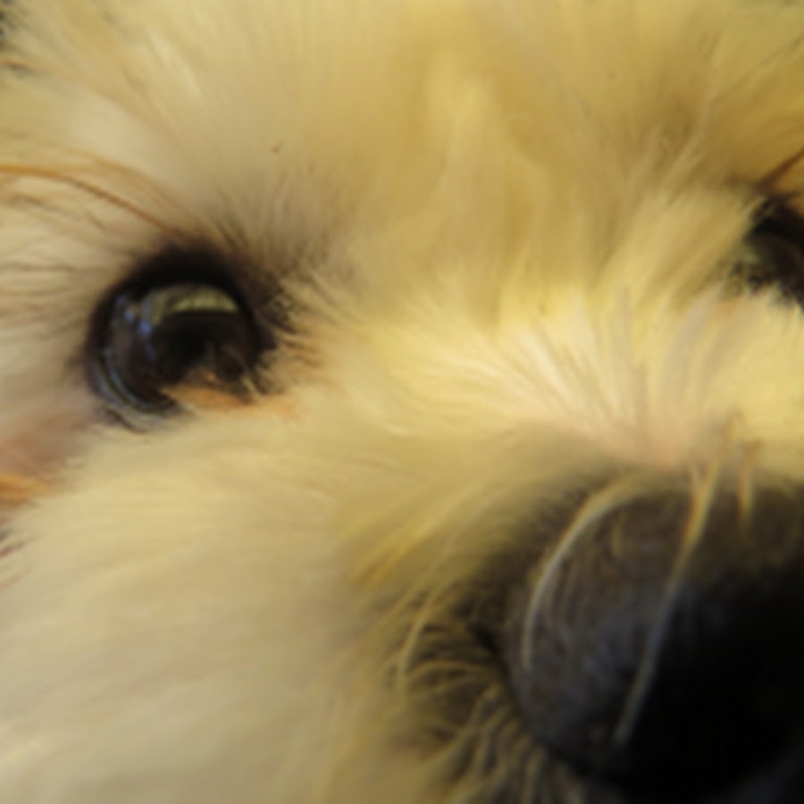 TheMisterEpic profile image