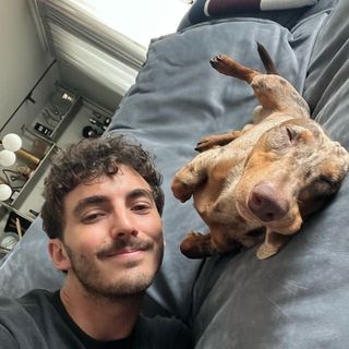 Francesco Bagnaia profile image