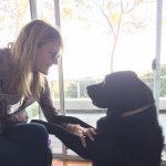 Laura Dern profile image