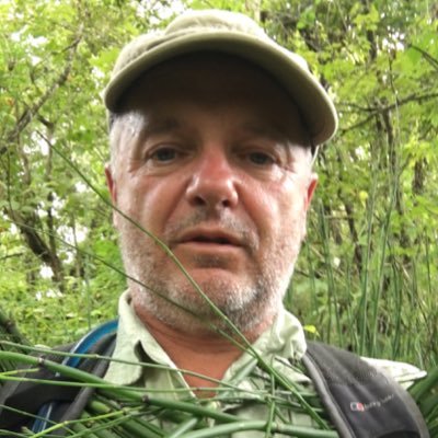 stephen rankin profile image