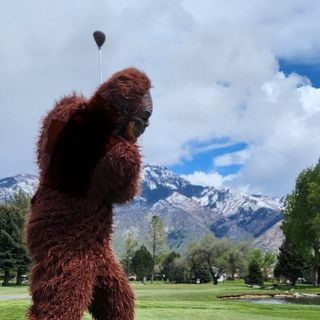Trent Nielsen profile image