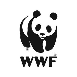 World Wildlife Fund profile image