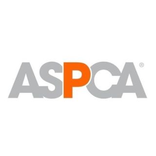 ASPCA profile image