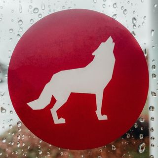 NC State University profile image