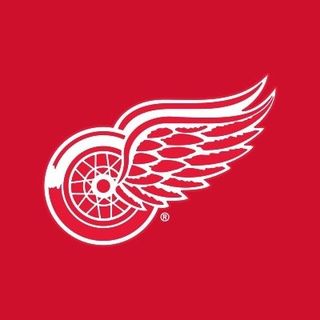 Detroit Red Wings Hockey Club NotCommon profile image