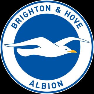 Brighton & Hove Albion FC NotCommon profile image