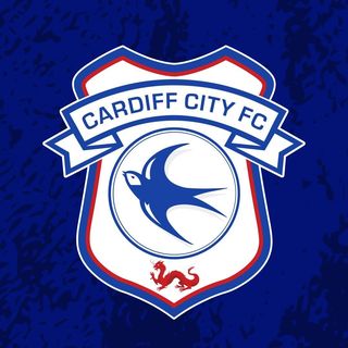 Cardiff City FC NotCommon profile image
