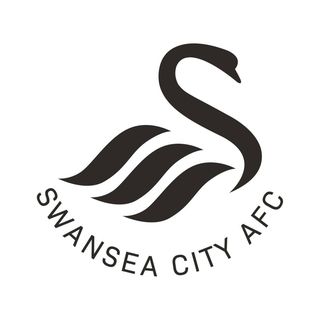 Swansea City AFC NotCommon profile image