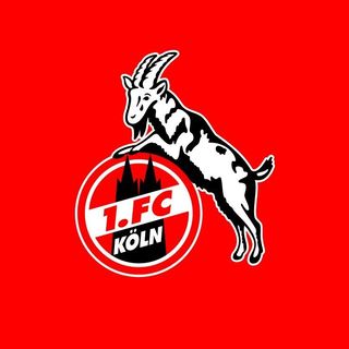 1. FC Köln | Bundesliga NotCommon profile image