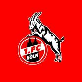 1. FC Köln | Bundesliga