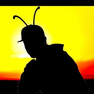 Nate Craig profile image