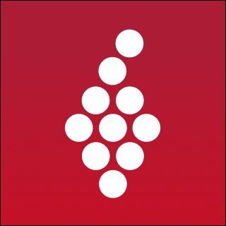 Vivino NotCommon profile image
