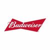 Budweiser's Pinterest photo